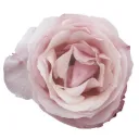  Promote＆Grow・Marketing・Social... Discord Server Icon