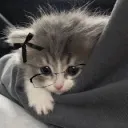 XIII o'clock discord icon