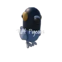 Tuff Pigeons
