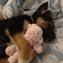 ꉂ`🦴`˖  fuzzlerz .ᐟ 🐾 Discord server icon