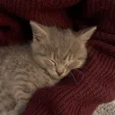 /snug