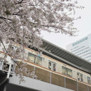 ＡＣＨ°Advertising⸝⸝™ Discord server icon