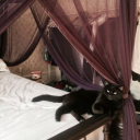 ⛔ 𝔾𝔩𝔬𝔟𝔢'𝓈 𝓥𝔬𝔦𝔡 🌌 Discord server icon