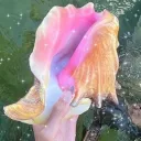 𝕊𝕚𝕝𝕖𝕟𝕥 𝔸𝕕𝕧𝕖𝕣𝕥𝕚𝕤�... Discord Server Icon