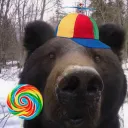 BearLands server icon