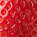 Arīī Network | Promotions | Collaborations | More Discord server icon