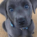 Sugardaddy-k Discord server icon