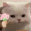 蓋子啵呀