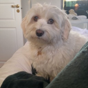 Sugardaddy's server Discord server icon