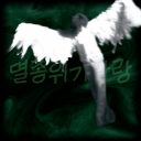 멸종위기사랑 Discord server icon