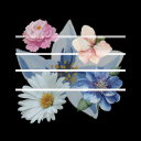 FLOWER ROAD |  꽃 길 Discord server icon