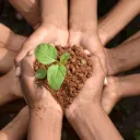 vansupals discord icon