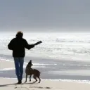 webberpals discord icon