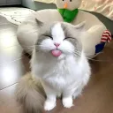 Schizophrenia smp Discord Server Icon