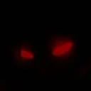 Destroyer_LK's Destroyed Universe #DDU