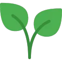 Grow A Seedrot