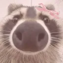 ⊹ ࣪ ˖Kendra's Corner.ᐟ.ᐟ⊹ ࣪ ˖ Discord Server Icon