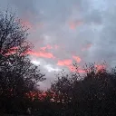 The Church of Erd discord icon