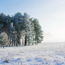 Brumal Abode Discord server icon