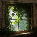 The Safe Zone ; Danganronpa Discord server icon