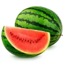 samplay3 Discord Server Icon