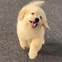 清庫存的地方