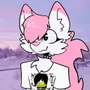 ❄Iglu do Mingau❄