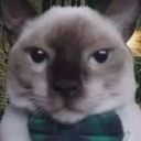 an rp server Discord server icon