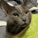 바로바로론 Discord server icon