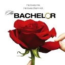 🌹Bachelor rpg🌹
