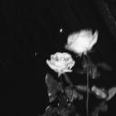 ₊ ⊹ ♡ ⊹ ₊