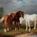 Battle(s) of Horseland