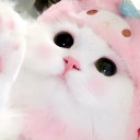 🐈 🎀  lovecat  ₍^. .^₎⟆ 𝒂𝒔𝒌2𝒅𝒎 & sfw ・icons・giveaways ・socials・ vc ・ anime ・ chill ・ gaming