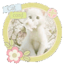 ❥　　catcord          🐈