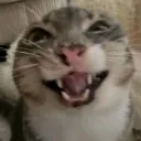 🌱🌸 mlm haven 🌸🌱 discord icon