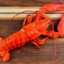 🦞 Lobsta Gang 🦞