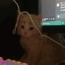 ☆ㆍwarpㆍ☆