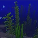 Kelps paradise Discord server icon