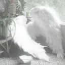 ˚₊‧꒰ა 𓂋 ໒꒱ ‧₊˚