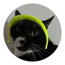 𝙱𝙸𝙽𝙺𝚂 𝙷𝚄𝙱 Discord Server