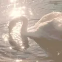 𝑆𝑒𝑟𝑎𝑝ℎ 🪽