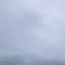 Naxi Discord server icon