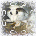 (✿ᴗ͈ˬᴗ͈)　Garden Of Moths Discord server icon