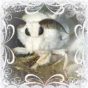 (✿ᴗ͈ˬᴗ͈)　Garden Of Moths