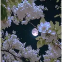 Moonlit Garden