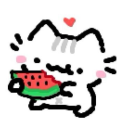 ₊ ̊🍉 melon patch🍹⊹