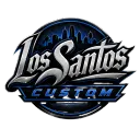 Ls customs