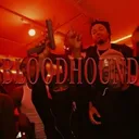 Bloodhound: 79th Street