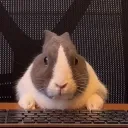 Mini Tom [REVIVAL]