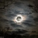 MOONRISE PROJECT